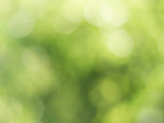 Plakat Natural outdoors bokeh background in green and yellow tones, Blurred green tree leaf background with bokeh