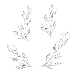 Ink Leaf branch Black floral illustration Pencil hand drawing Modern Minimalist black leaves