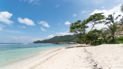 Seychelles Beach Landscape