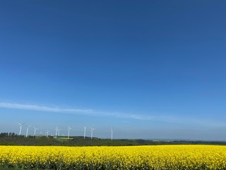 Weite Sicht über Rapsfelder (Windrad) über die Eifel bis in den Hunsrück bei Cochem - Feldweg -...