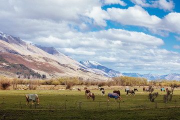 Fototapeta na wymiar Landscape around Glenorchy and Paradise in New Zealand