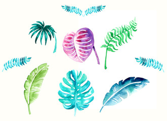 Tropic palm leaves set of decorative elements, watercolor. Tender pastel summer colors: blue, green, pink