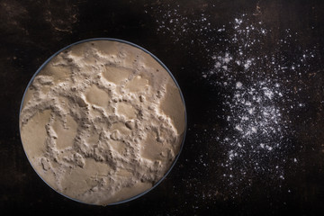 
It is not the moon. Dough prepared to make bread on black background. Aerial view.