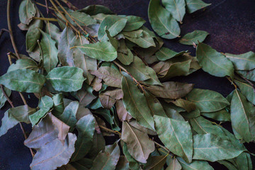 Dry fragrant laurel tree branches along with dried leaves on the table.