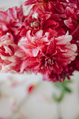 Arranging a bouquet of dahlias 
