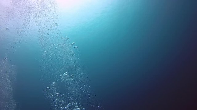 Slow motion shot of manta ray swimming under water surface, low angle view of fish in ocean - Nusa Penida, Bali