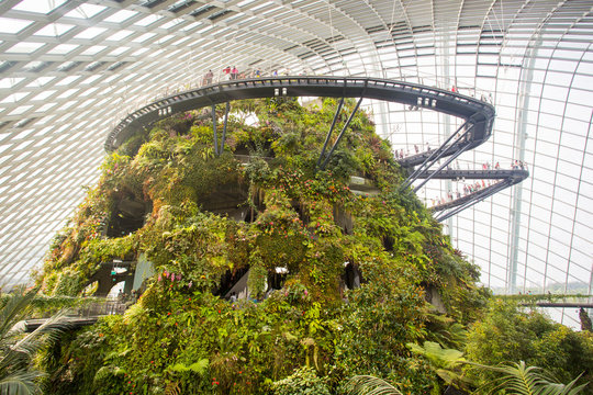 Gardens By The Bay Cloud Forest Dome In Singapore