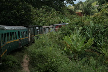 train voyage Asie Madagascar vert nature couleur jungle transport paysages collines montagnes 