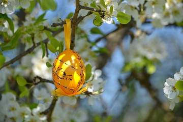 yellow easter egg on a flowering tree in the spring
