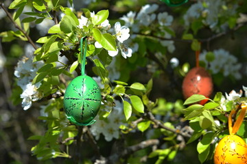 easter egg colored on a flowering tree