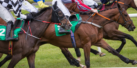 Close up on Galloping race horses competing for first place 