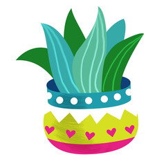 cactus in a bright flower pot