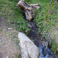 stream