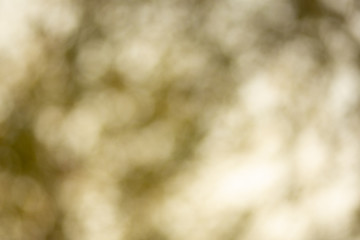 Light bokeh decorate  dreamy glamour blur the abstract background, Festive defocused lights, valentine day love beautiful,