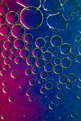 oil bubbles on a blue-pink background