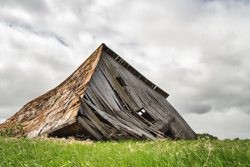 An old gray shed built from wood slats collapsed onto green grass in a summer countryside landscape