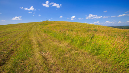 sloping meadow on a hillside on a sunny day