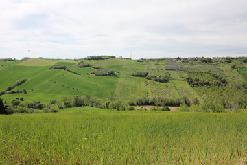 Fototapeta na wymiar Verdi colline in primavera 