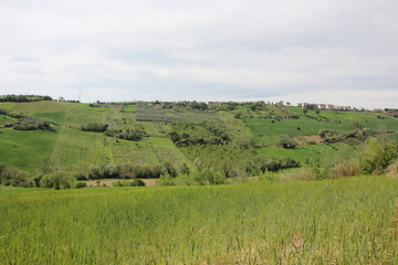 Fototapeta premium Verdi colline in primavera 