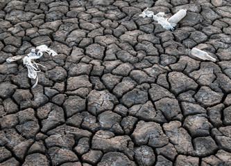 Garbage on the ground