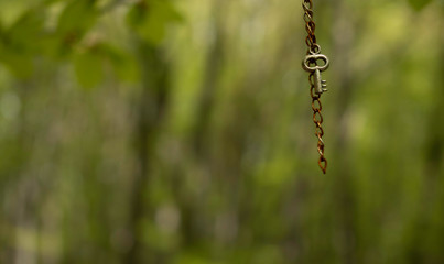 A decorative small key hanging from a tree branch somewhere in the deep woods of Vitosha mountain. 