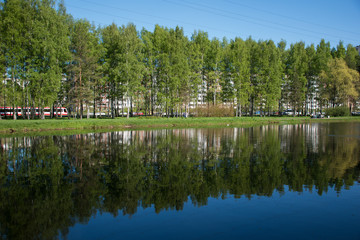 lake in the park