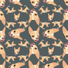 Seamless pattern with the image of a funny chihuahua. Vector image of a chihuahua breed dog