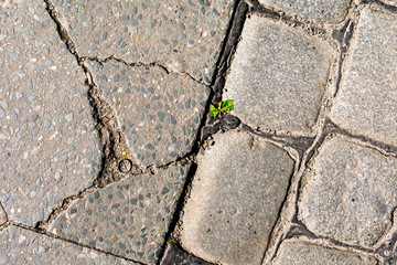 Obraz premium Strassenbelag im Detail. Betonkunst. Grafische Darstellung von Strasse, Gehweg, Asphalt und Markierung..