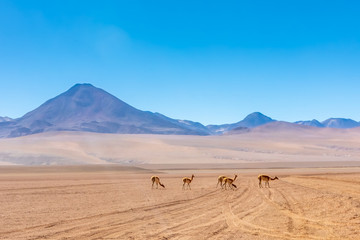 Fototapeta na wymiar Scenic road in the Atacama desert, Chile