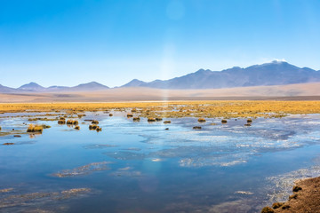 Scenic road in the Atacama desert, Chile