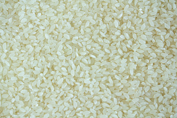 Round rice for porridge. Dry rice Close-up
