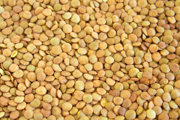 Yellow lentils, legumes, lentils, lentils. Close-up. Only croup in the frame.