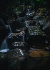 Fototapeta premium Sri Lankan Cascading Waterfalls from Sinharaja rain forest