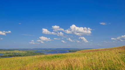 Obraz premium hillside with flowering grass, meadow