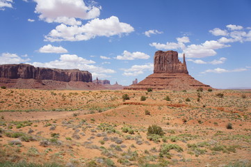 Arizona