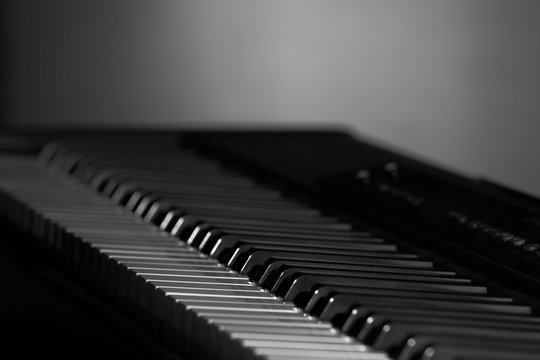 piano keys close up on black background, black and white image