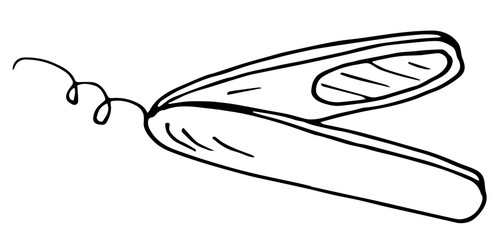 Hair curling, outline illustration in doodle style. Design element for the design of business cards, flyers, websites of beauty salons, and hairdressers