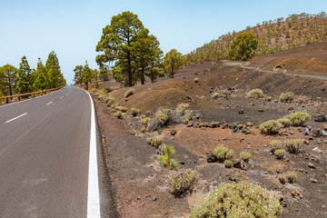 Vulkanlandschaft am Teide (Teneriffa)