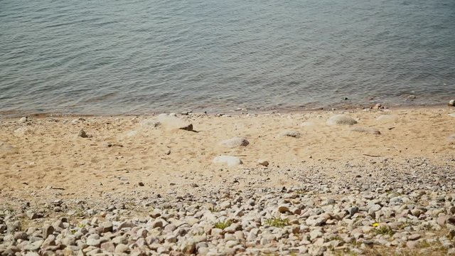 Sunny beach, sand, stones and water ripples, light wind, small waves on the river, sea