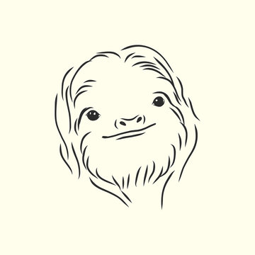 Sloth outline illustration, sloth, vector sketch illustration