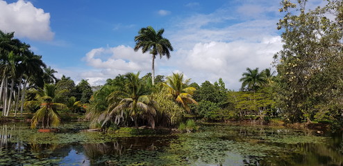 Vinales in Cuba