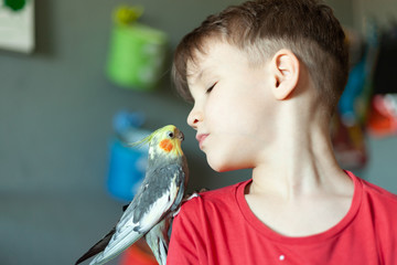 a child with a parrot on his shoulder kisses him, the child takes care of the pets