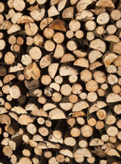 Stack of firewood