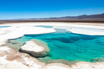 Hidden lagoon Baltinache (Lagunas escondidas Baltinache) Atacama Desert, Chile