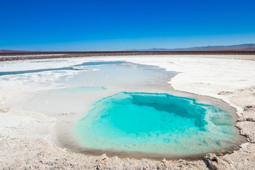 Hidden lagoon Baltinache (Lagunas escondidas Baltinache) Atacama Desert, Chile © marabelo