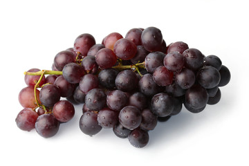 A branch of dark grapes on a white background