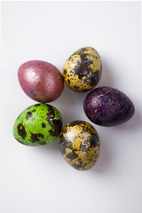Easter multicolored quail spotted eggs lie on a white background