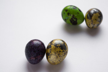 Easter multicolored quail spotted eggs lie on a white background