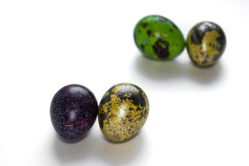 Easter multicolored quail spotted eggs lie on a white background