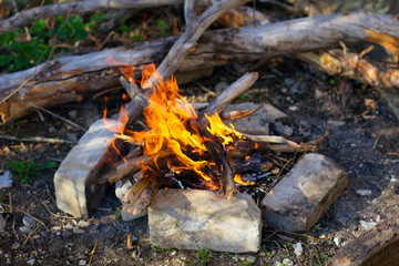 Campfire in the forest. Branchs on fire, campfire place. Bonfire burns in a campsite for tourists.